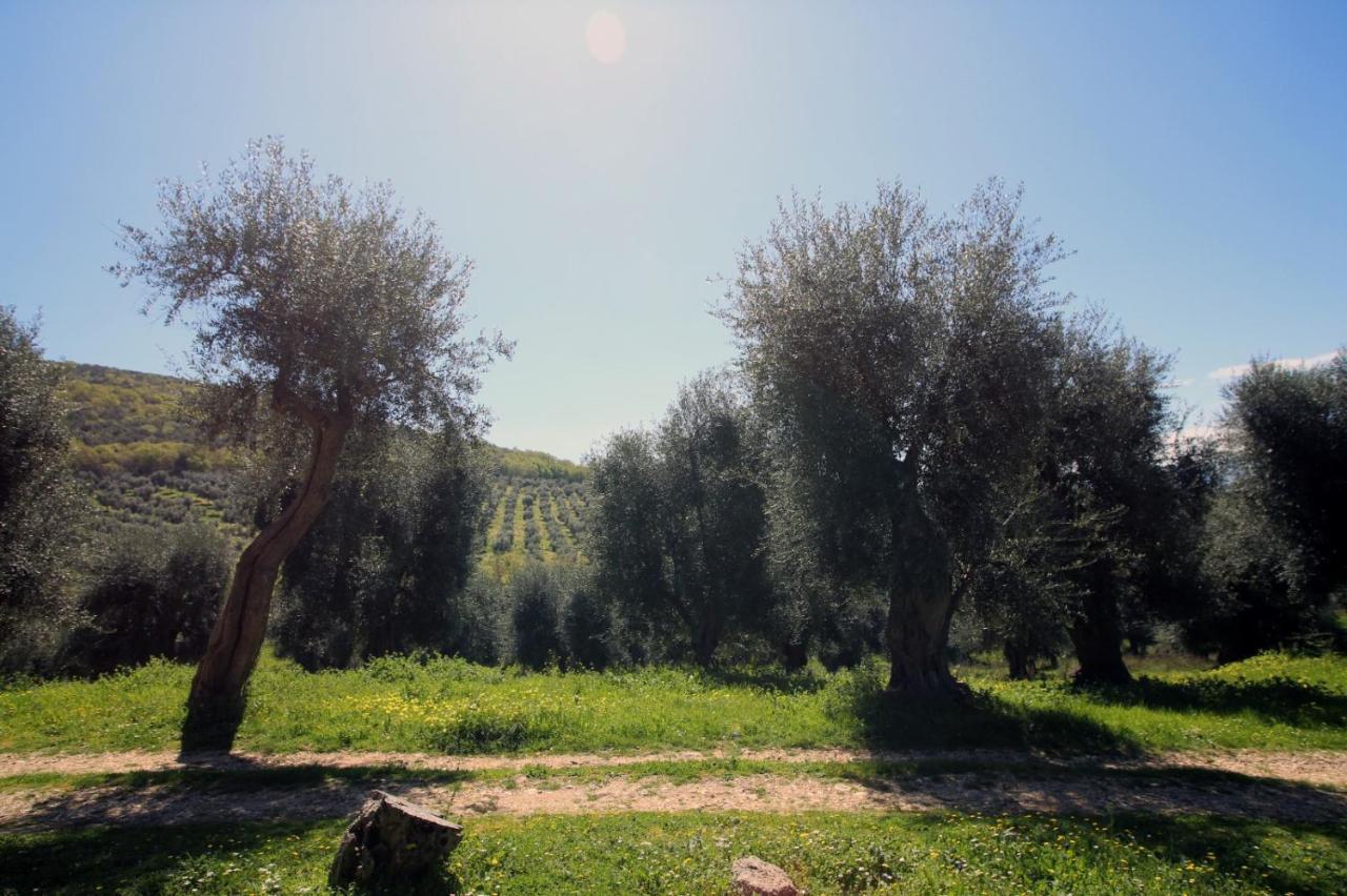 Masseria Procacci Ischitella Buitenkant foto