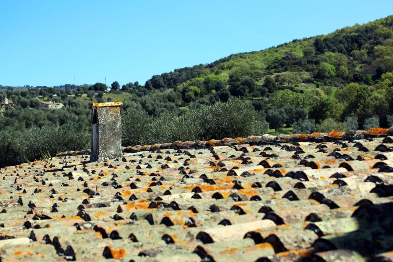 Masseria Procacci Ischitella Buitenkant foto